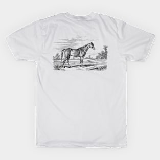 Horse in a landscape T-Shirt